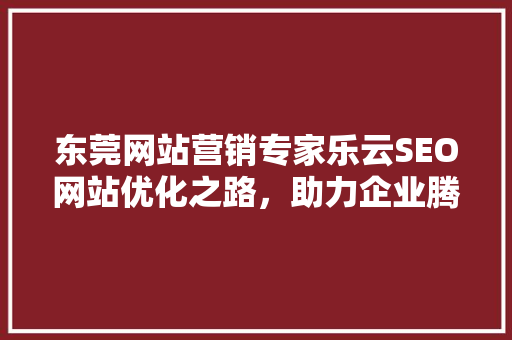 东莞网站营销专家乐云SEO网站优化之路，助力企业腾飞