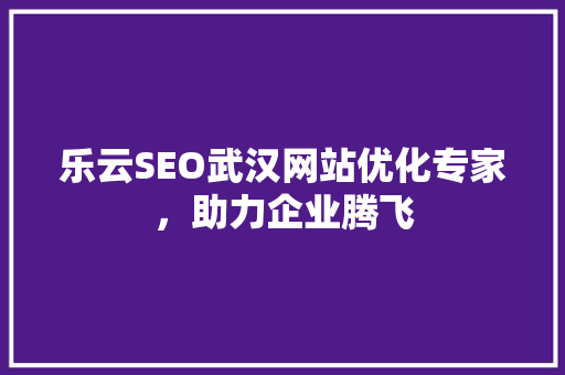 乐云SEO武汉网站优化专家，助力企业腾飞