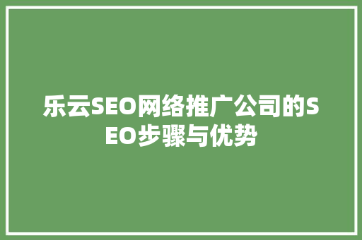 乐云SEO网络推广公司的SEO步骤与优势