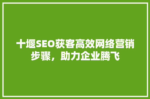 十堰SEO获客高效网络营销步骤，助力企业腾飞