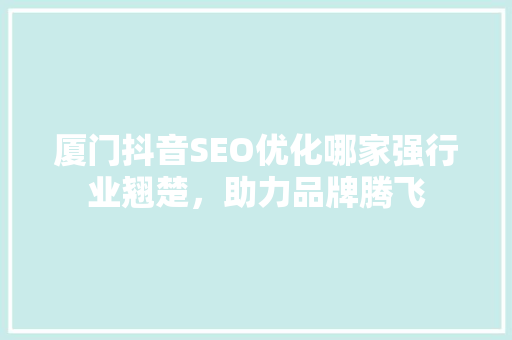 厦门抖音SEO优化哪家强行业翘楚，助力品牌腾飞