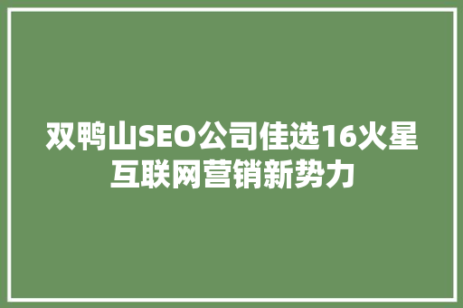 双鸭山SEO公司佳选16火星互联网营销新势力