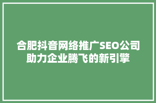 合肥抖音网络推广SEO公司助力企业腾飞的新引擎