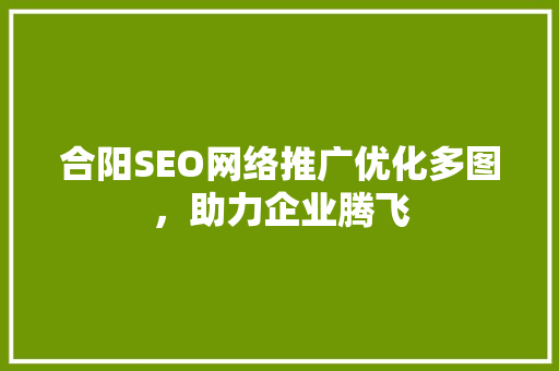 合阳SEO网络推广优化多图，助力企业腾飞