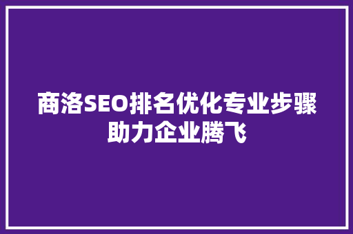 商洛SEO排名优化专业步骤助力企业腾飞