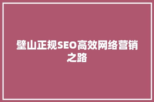 壁山正规SEO高效网络营销之路