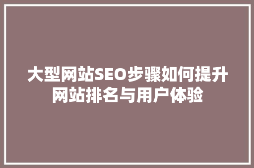 大型网站SEO步骤如何提升网站排名与用户体验