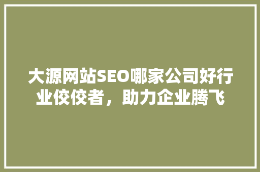 大源网站SEO哪家公司好行业佼佼者，助力企业腾飞