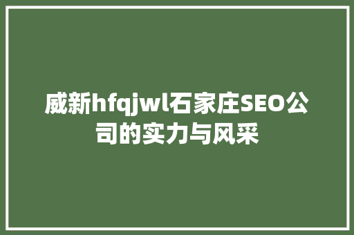 威新hfqjwl石家庄SEO公司的实力与风采