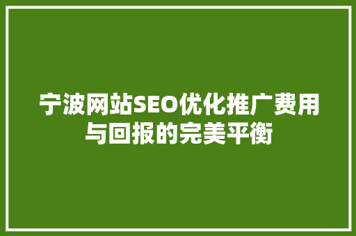 宁波网站SEO优化推广费用与回报的完美平衡