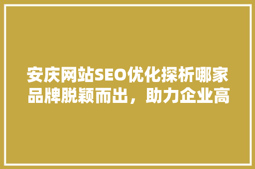 安庆网站SEO优化探析哪家品牌脱颖而出，助力企业高效提升网络曝光