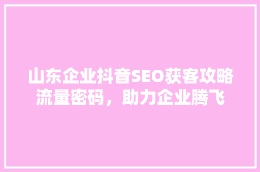 山东企业抖音SEO获客攻略流量密码，助力企业腾飞
