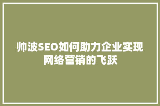帅波SEO如何助力企业实现网络营销的飞跃