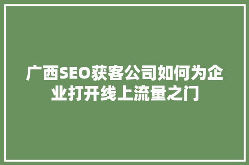 广西SEO获客公司如何为企业打开线上流量之门