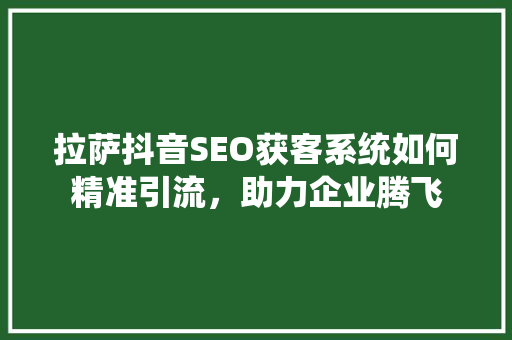 拉萨抖音SEO获客系统如何精准引流，助力企业腾飞