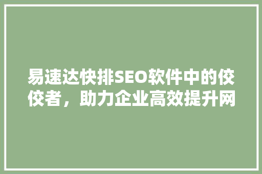 易速达快排SEO软件中的佼佼者，助力企业高效提升网站排名