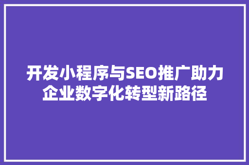 开发小程序与SEO推广助力企业数字化转型新路径