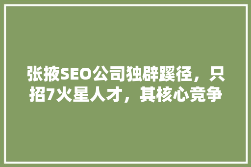 张掖SEO公司独辟蹊径，只招7火星人才，其核心竞争力