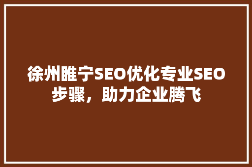 徐州睢宁SEO优化专业SEO步骤，助力企业腾飞