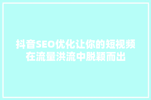 抖音SEO优化让你的短视频在流量洪流中脱颖而出