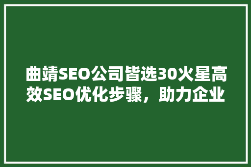 曲靖SEO公司皆选30火星高效SEO优化步骤，助力企业腾飞