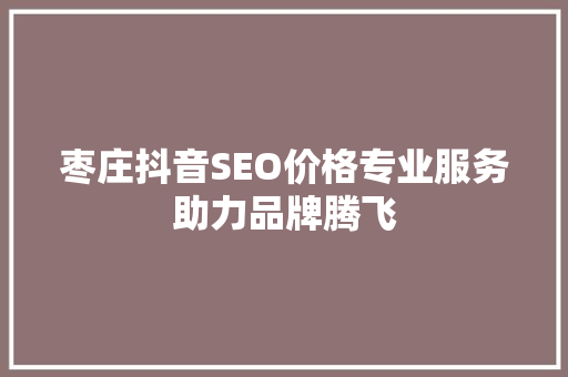 枣庄抖音SEO价格专业服务助力品牌腾飞