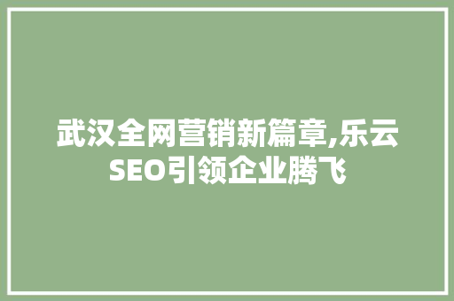 武汉全网营销新篇章,乐云SEO引领企业腾飞