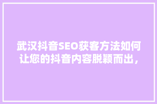 武汉抖音SEO获客方法如何让您的抖音内容脱颖而出，吸引精准流量