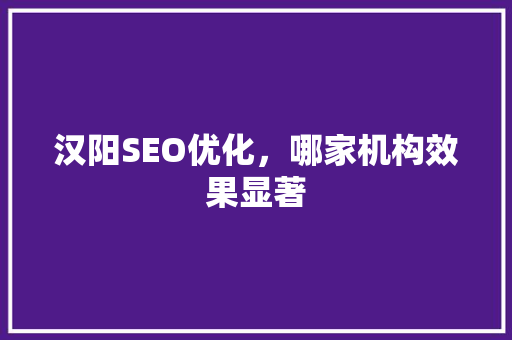 汉阳SEO优化，哪家机构效果显著