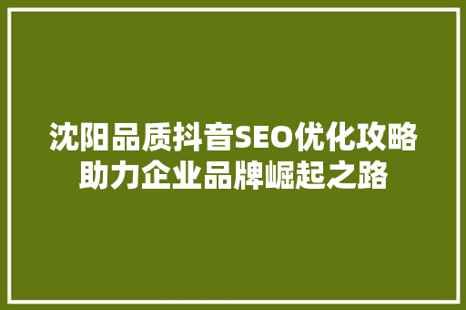 沈阳品质抖音SEO优化攻略助力企业品牌崛起之路