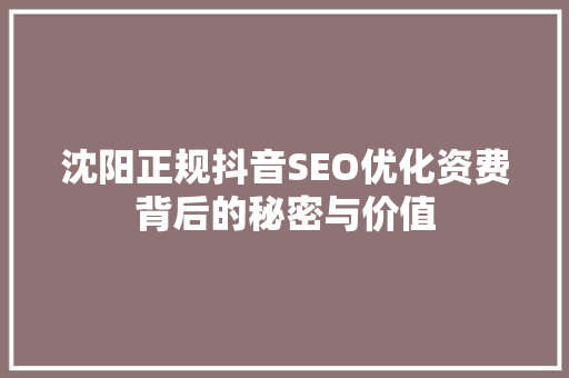 沈阳正规抖音SEO优化资费背后的秘密与价值