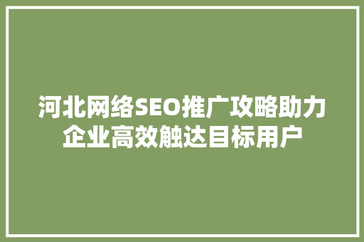 河北网络SEO推广攻略助力企业高效触达目标用户