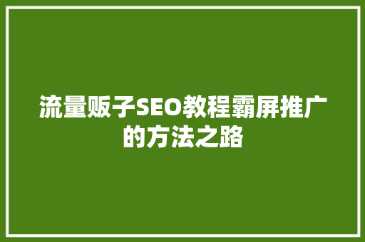 流量贩子SEO教程霸屏推广的方法之路