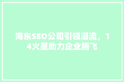 海东SEO公司引领潮流，14火星助力企业腾飞