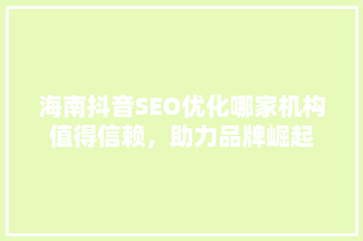海南抖音SEO优化哪家机构值得信赖，助力品牌崛起