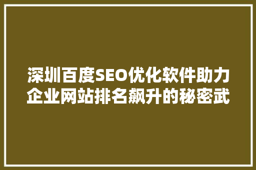 深圳百度SEO优化软件助力企业网站排名飙升的秘密武器  第1张