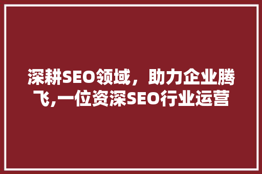 深耕SEO领域，助力企业腾飞,一位资深SEO行业运营专家的自我