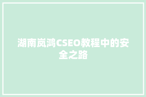 湖南岚鸿CSEO教程中的安全之路