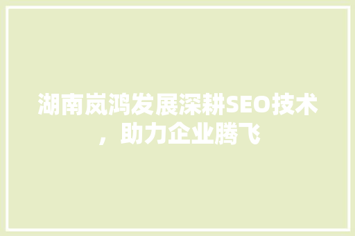 湖南岚鸿发展深耕SEO技术，助力企业腾飞