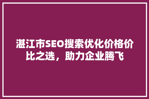 湛江市SEO搜索优化价格价比之选，助力企业腾飞
