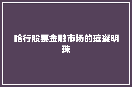 哈行股票金融市场的璀璨明珠