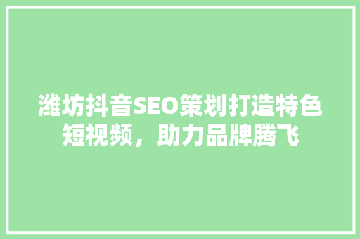 潍坊抖音SEO策划打造特色短视频，助力品牌腾飞