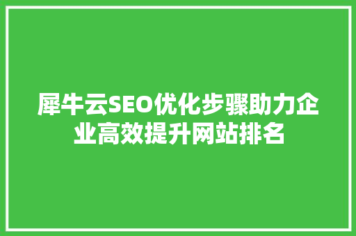 犀牛云SEO优化步骤助力企业高效提升网站排名