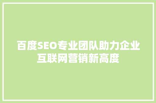 百度SEO专业团队助力企业互联网营销新高度