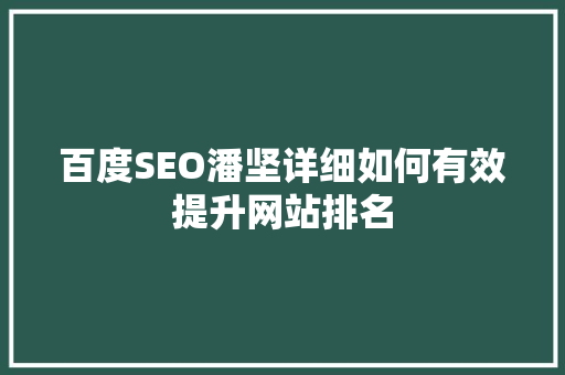 百度SEO潘坚详细如何有效提升网站排名
