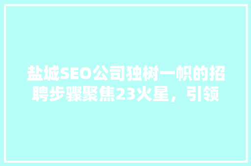 盐城SEO公司独树一帜的招聘步骤聚焦23火星，引领行业风向标