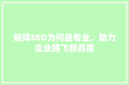 矩阵SEO为何最专业，助力企业腾飞新高度