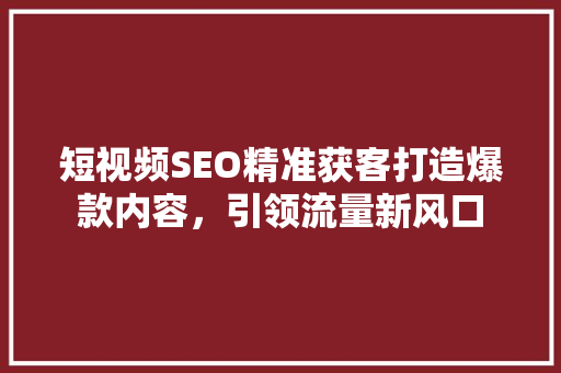 短视频SEO精准获客打造爆款内容，引领流量新风口
