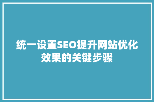 统一设置SEO提升网站优化效果的关键步骤