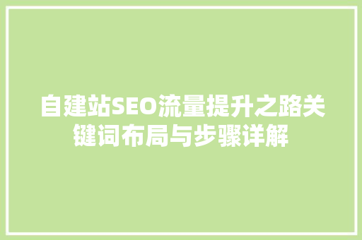 自建站SEO流量提升之路关键词布局与步骤详解